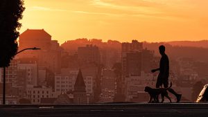 A Silhouette of a Man Walking His Dog