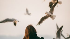 Birds Flying near a Woman