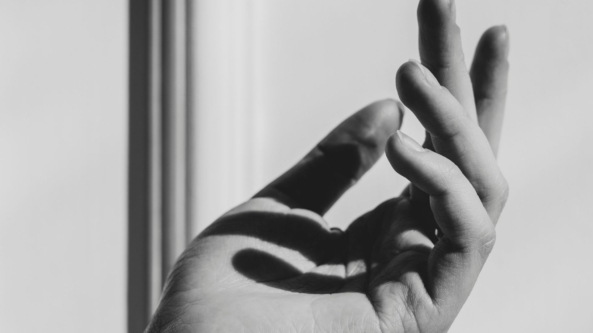 Black and White Photo of Person's Hand