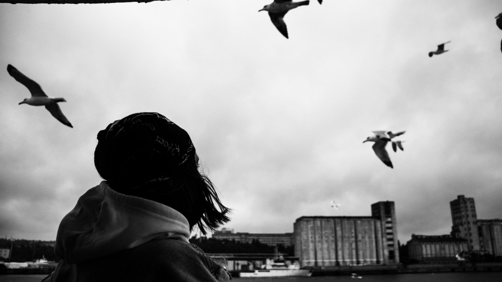 Grayscale Photo of Woman Looking at Birds