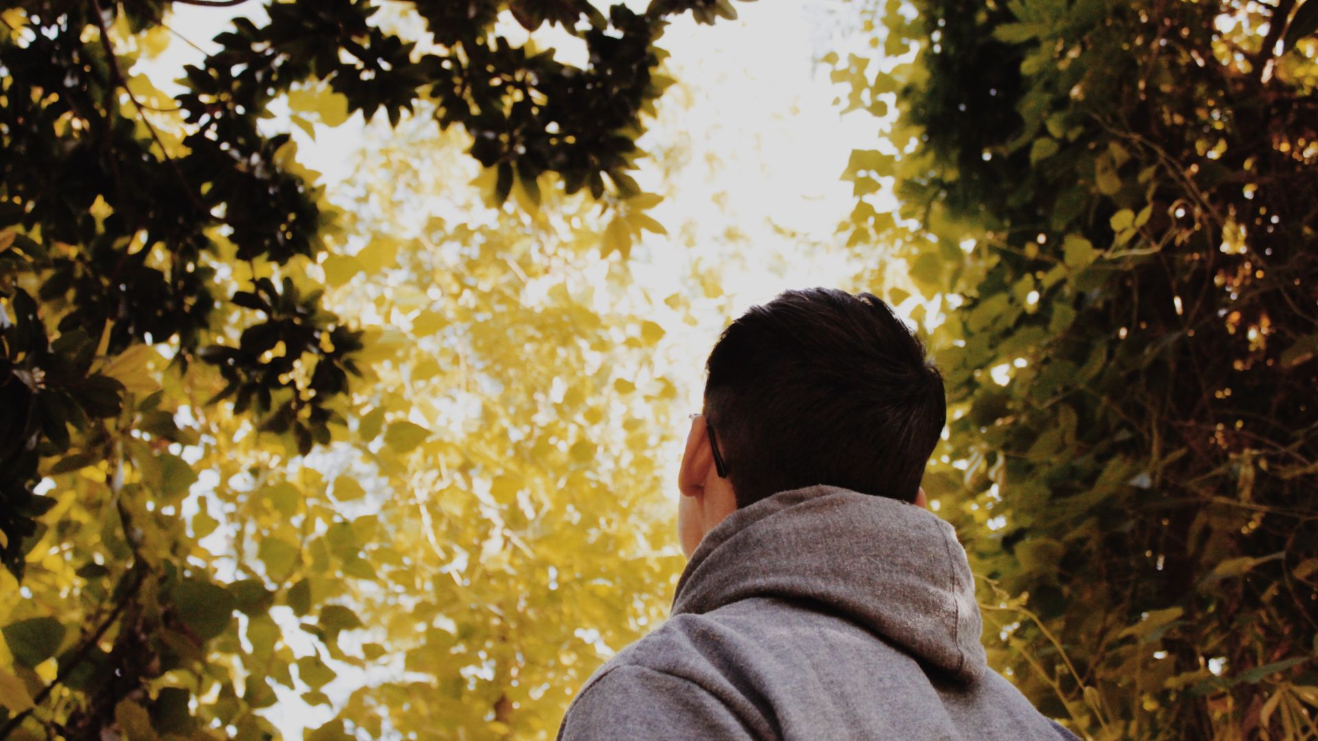 Low Angle Photography of Man Standing Under Green Trees