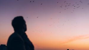 Man Watching Birds Flying at Sunset