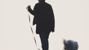 Silhouette Of A Woman Walking Her Dog On Uphill Pathway