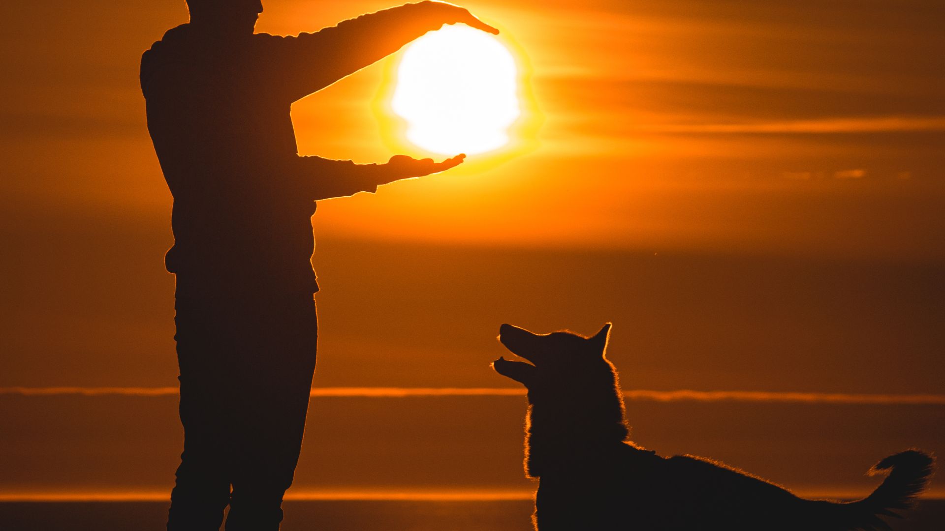 Silhouette of Man and Dog During Sunset