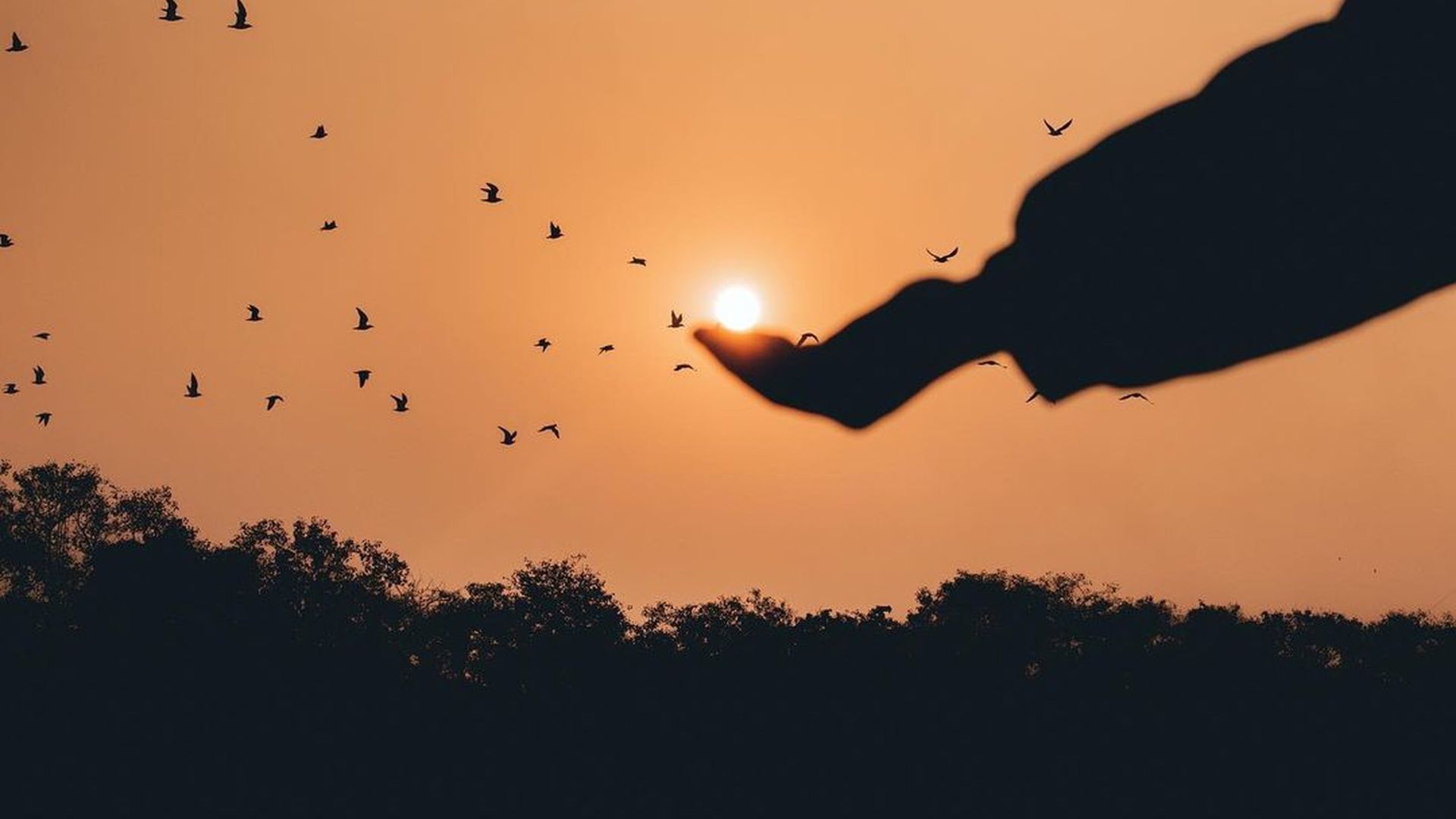 Silhouette of Person Raising His Right Hand ,.