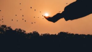 Silhouette of Person Raising His Right Hand