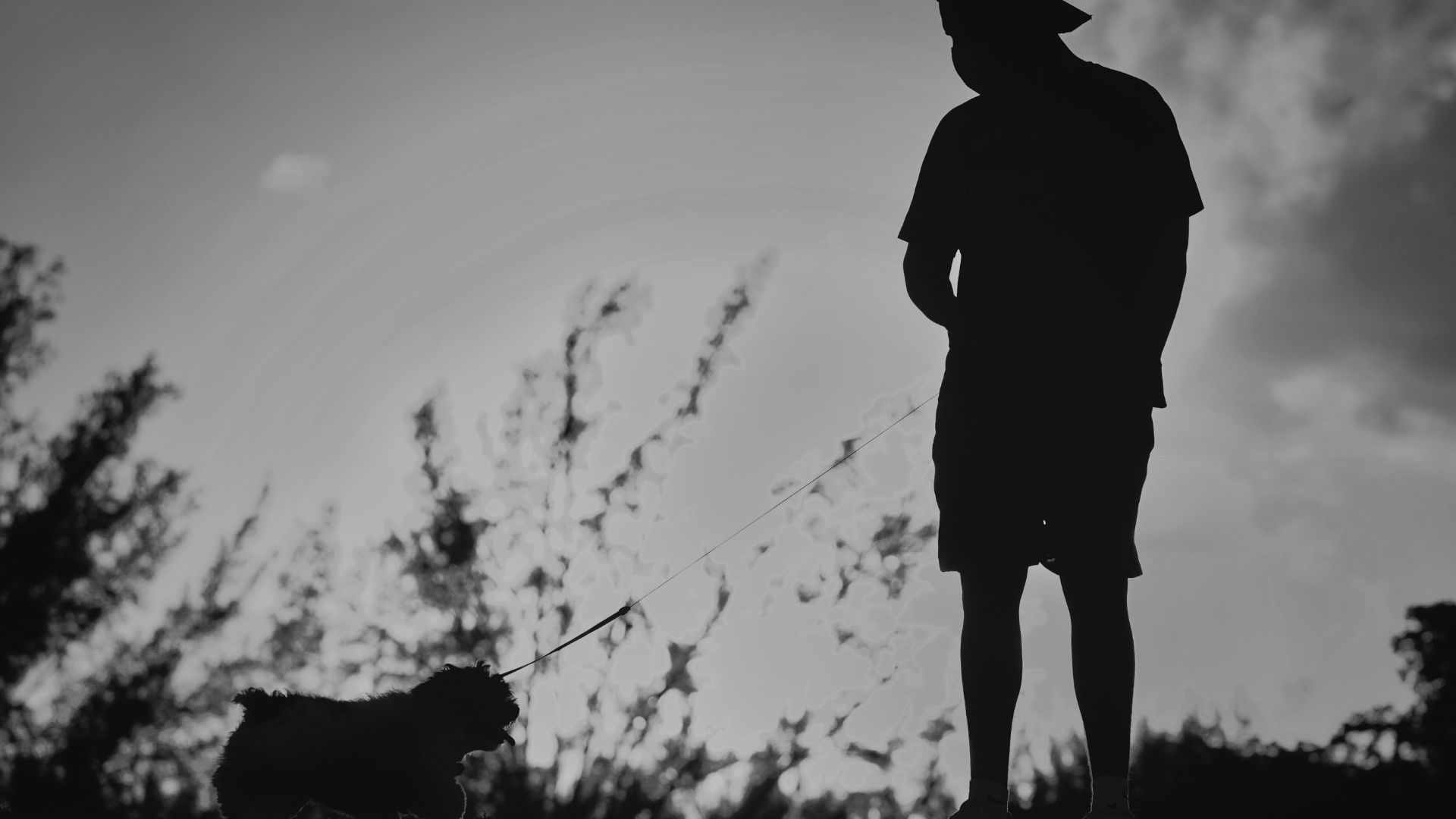 Silhouette of a Man with a Dog