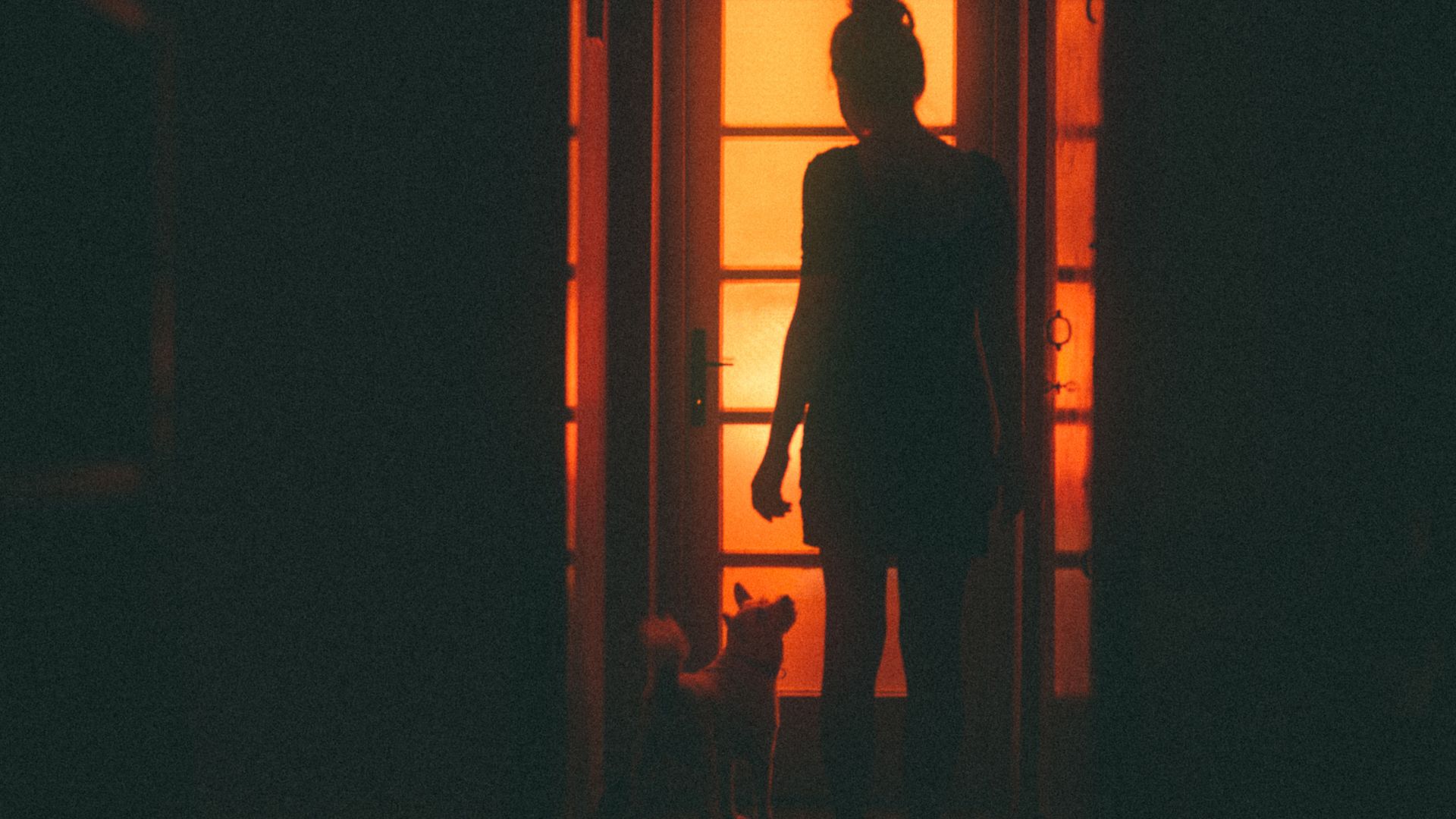 Silhouette of a Person and a Dog...