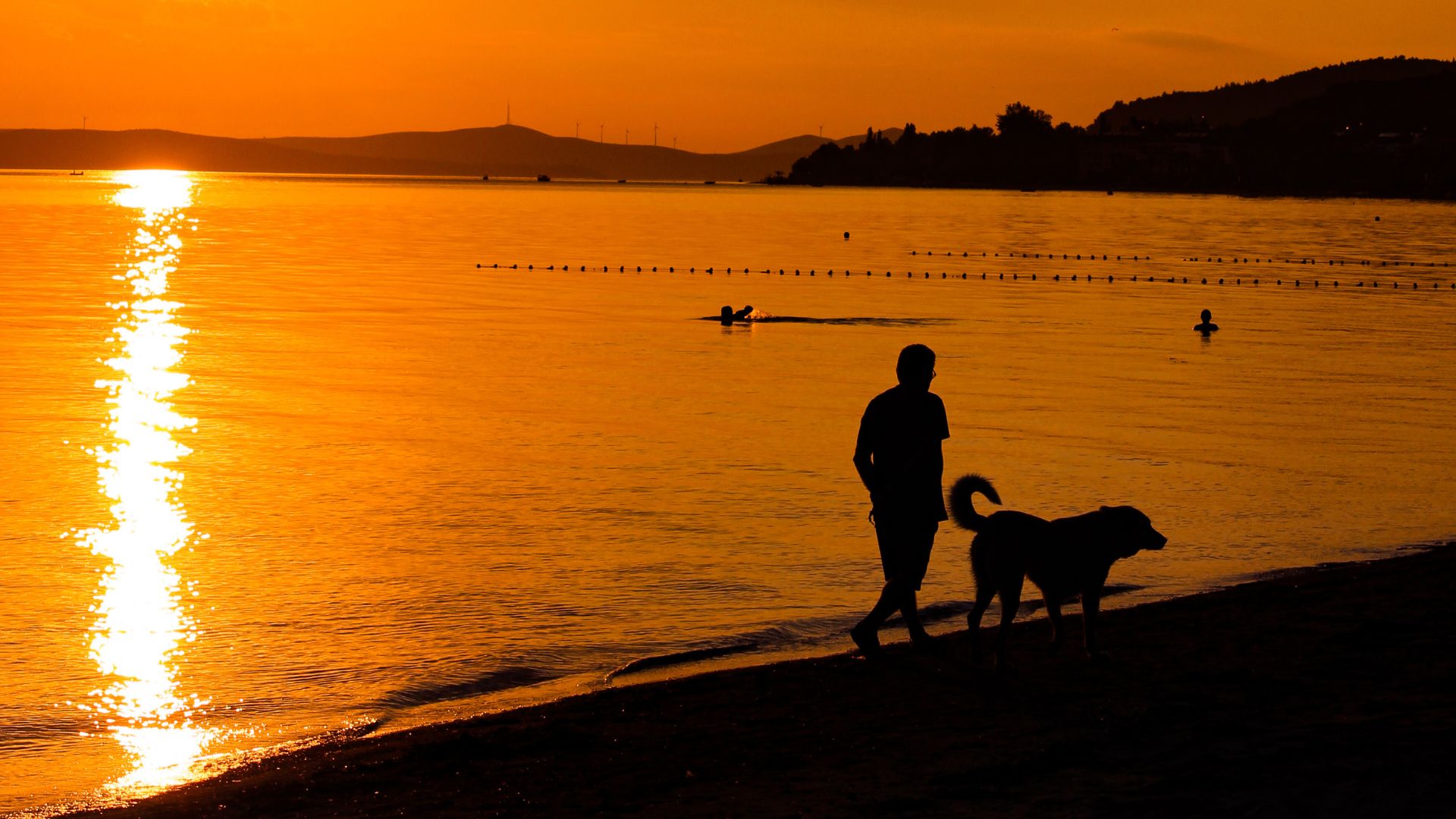 Silhouette of a Person and a Dog Walking on Seashore during Sunset