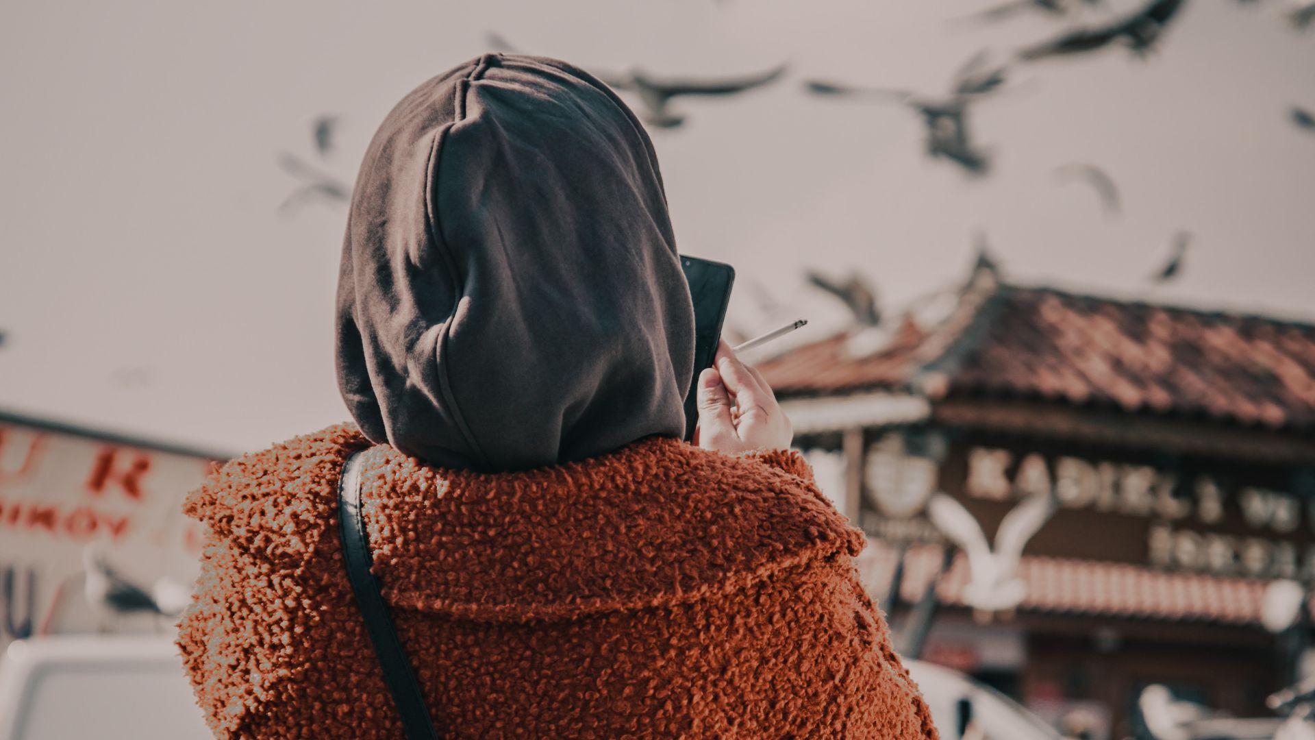 Woman Taking Pictures of Flying Birds